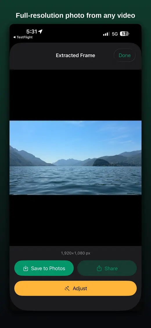 Stillcut showing a full-resolution photo extracted from a video